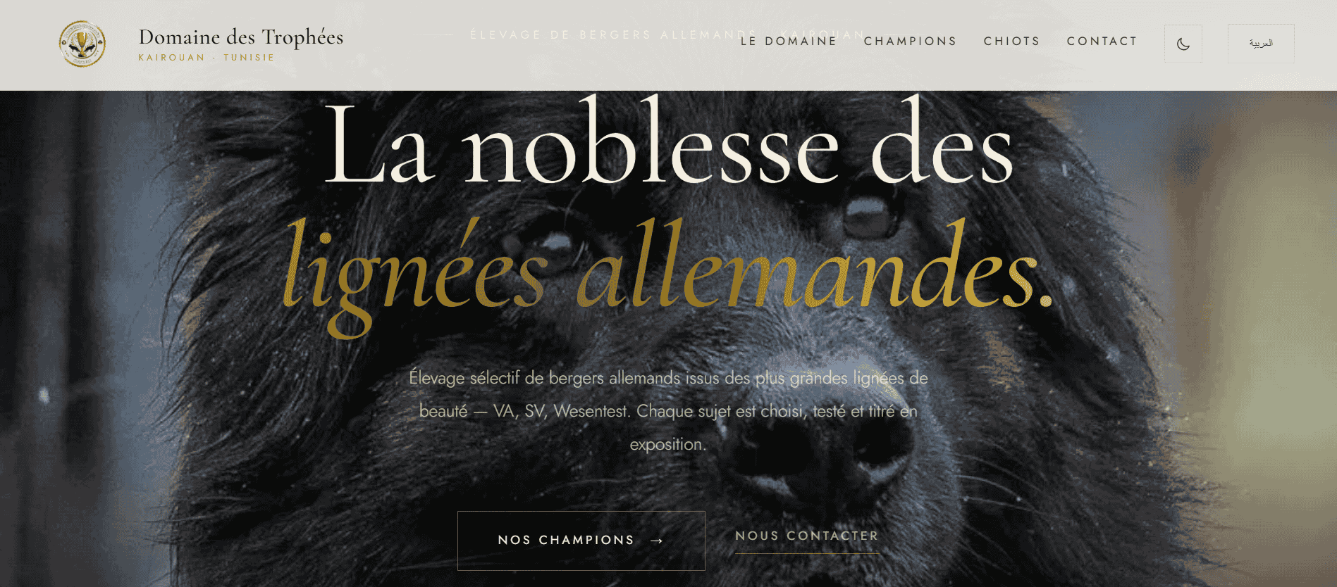 Site web de domainedestrophees